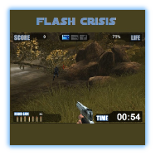 Flash Crisis